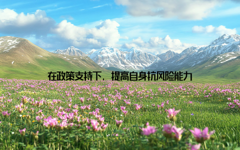 在政策支持下, 提高自身抗风险能力