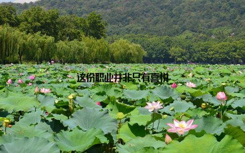 这份职业并非只有喜悦