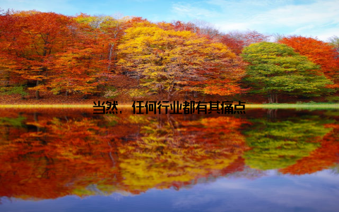 当然, 任何行业都有其痛点