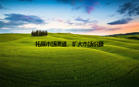 拓展市场渠道, 扩大市场份额