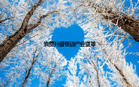 消费升级带动产业变革