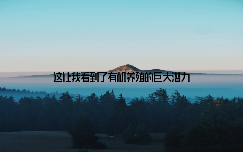 这让我看到了有机养殖的巨大潜力