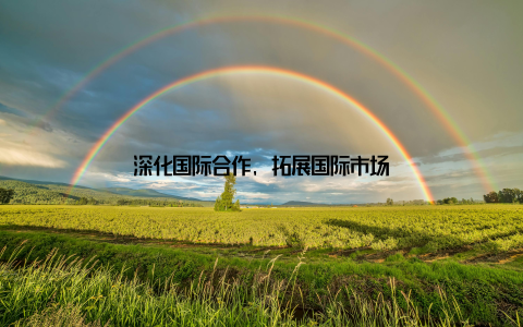 深化国际合作, 拓展国际市场