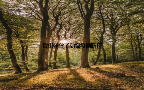 我们强化了动物疫病防控