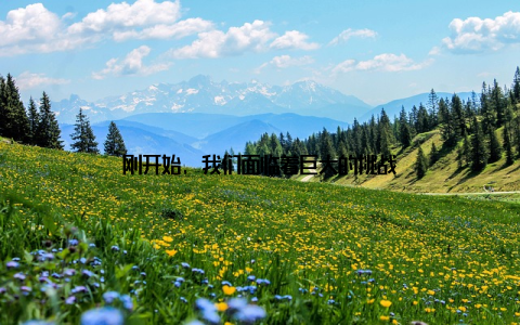 刚开始, 我们面临着巨大的挑战