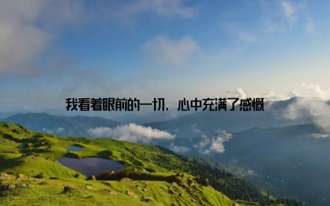 我看着眼前的一切, 心中充满了感慨