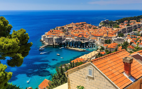 一位年轻从业者表示