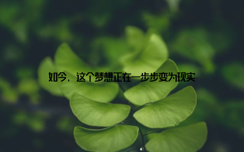 如今, 这个梦想正在一步步变为现实