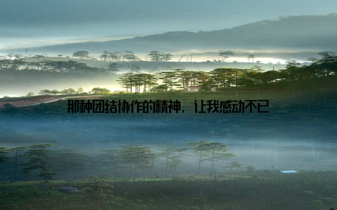 那种团结协作的精神, 让我感动不已