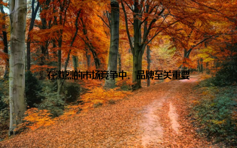 在激烈的市场竞争中, 品牌至关重要