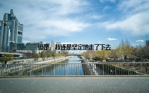 但是, 我还是坚定地走了下去