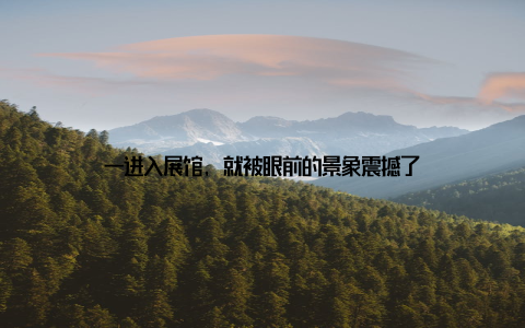 一进入展馆, 就被眼前的景象震撼了