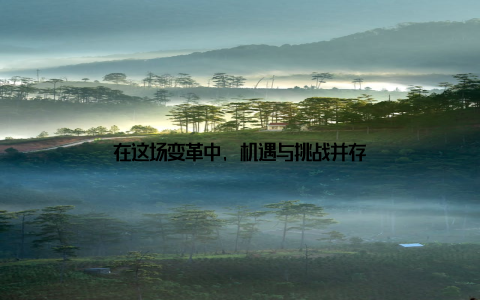 在这场变革中, 机遇与挑战并存