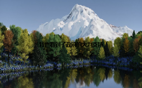 我也看到了政府的大力支持