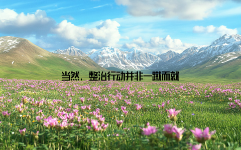 当然, 整治行动并非一蹴而就