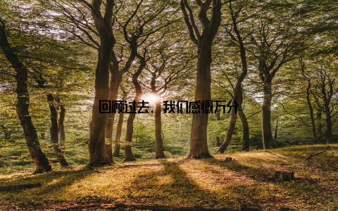 回顾过去, 我们感慨万分