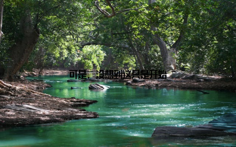 可是, 没想到这只是开始