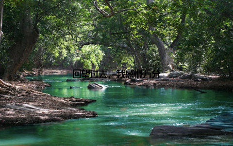 回望过去, 我感慨万分