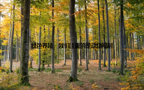 绿色养殖, 我们注重的是动物福利