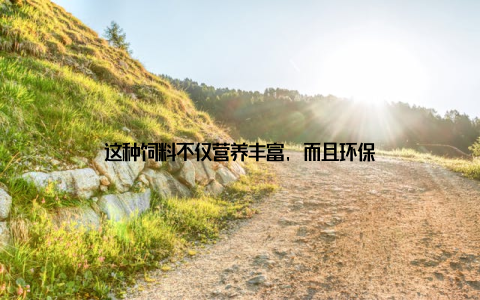 这种饲料不仅营养丰富, 而且环保