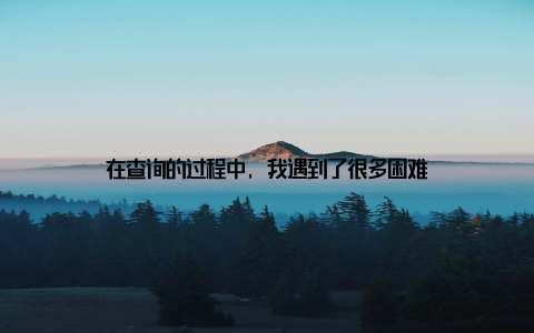 在查询的过程中, 我遇到了很多困难