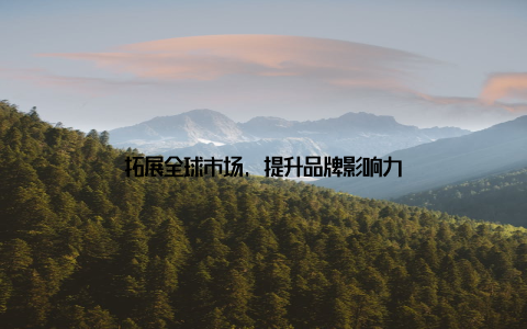 拓展全球市场, 提升品牌影响力