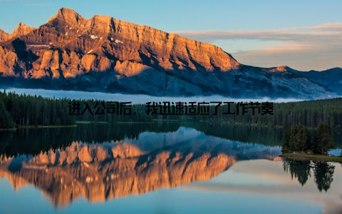 进入公司后, 我迅速适应了工作节奏