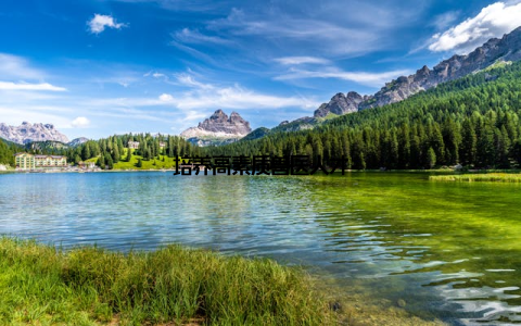 培养高素质兽医人才