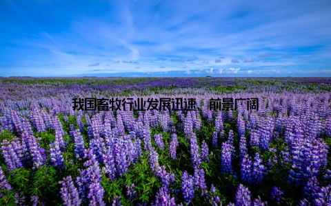 我国畜牧行业发展迅速, 前景广阔