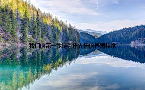 我们的第一步是引进先进的养殖技术