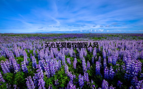 关心关爱畜牧兽医人员