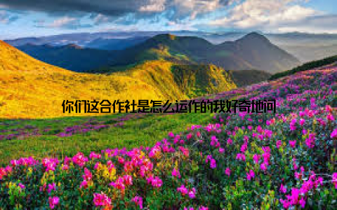 你们这合作社是怎么运作的我好奇地问