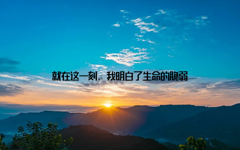 就在这一刻, 我明白了生命的脆弱