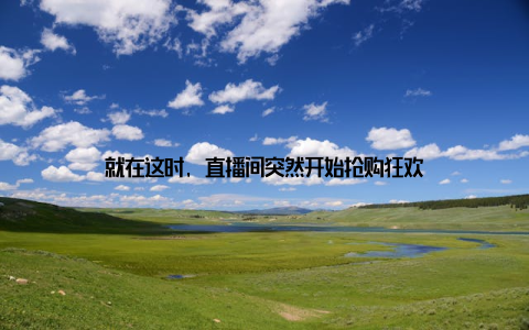 就在这时, 直播间突然开始抢购狂欢