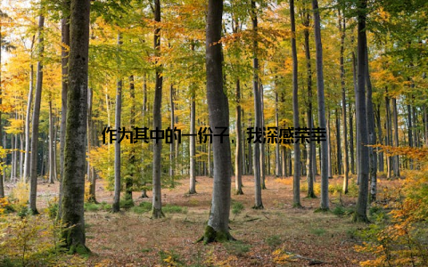 作为其中的一份子, 我深感荣幸