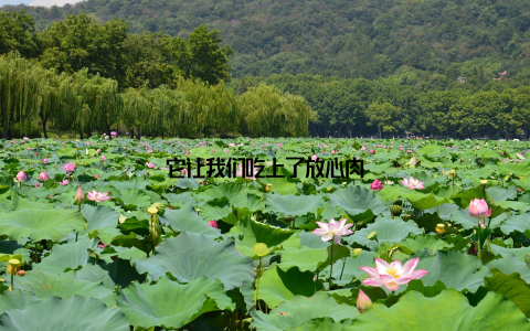 它让我们吃上了放心肉