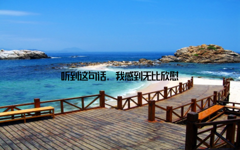 听到这句话, 我感到无比欣慰