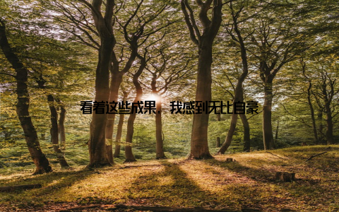 看着这些成果, 我感到无比自豪