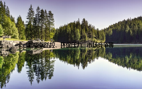 如疫病防控、环保压力、市场竞争等