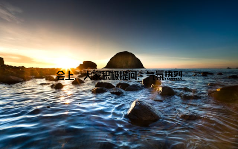 会上, 大家积极提问, 气氛热烈