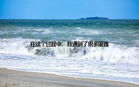 在这个过程中, 我遇到了很多困难