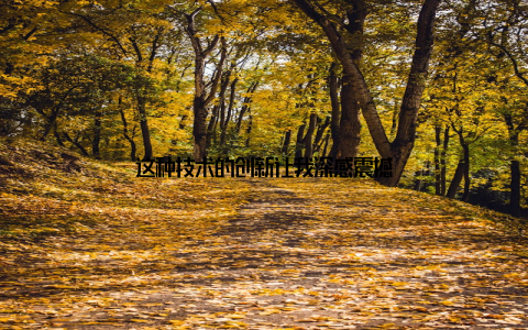 这种技术的创新让我深感震撼