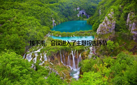 接下来, 会议进入了主题报告环节