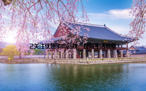 2关注优质羊肉品牌, 提高生活质量