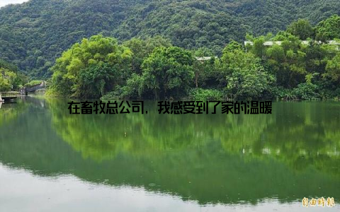 在畜牧总公司, 我感受到了家的温暖