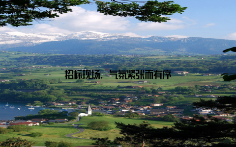 招标现场, 气氛紧张而有序