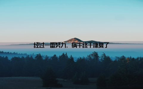 经过一番努力, 病牛终于康复了