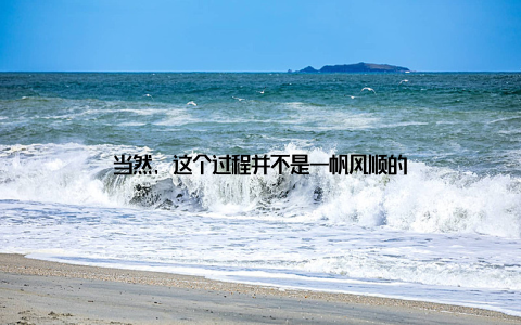 当然, 这个过程并不是一帆风顺的