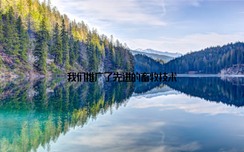 我们推广了先进的畜牧技术