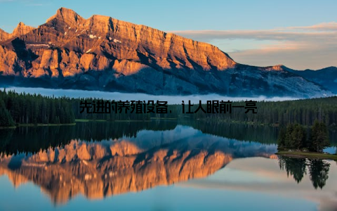 先进的养殖设备, 让人眼前一亮